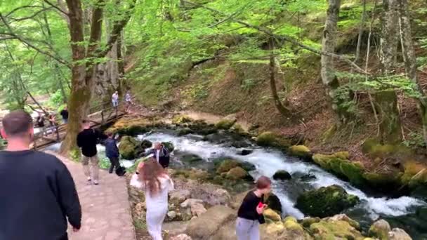 Montenegro Budva September 2021 Vackra Tara Springs Park Med Rinnande — Stockvideo