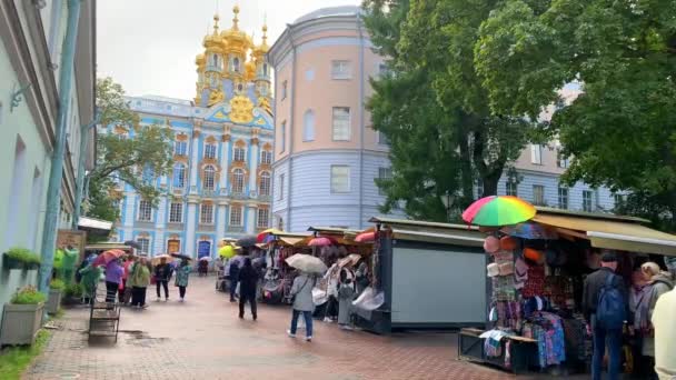 San Pietroburgo Russia Ottobre 2022 Visitatori Trovano Fronte Palazzo Caterina — Video Stock