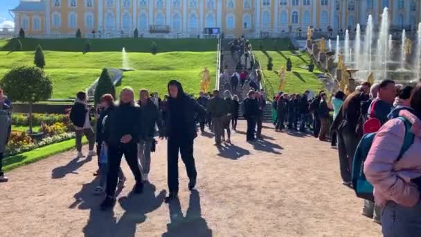 Sankt Petersburg Ryssland Oktober 2022 Petergof Grand Palace Fontäner Och — Stockvideo