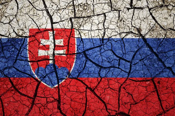 スロバキアの国旗に乾燥した土壌パターン 干ばつの概念を持つ国 水問題だ 乾燥した地球の国 — ストック写真