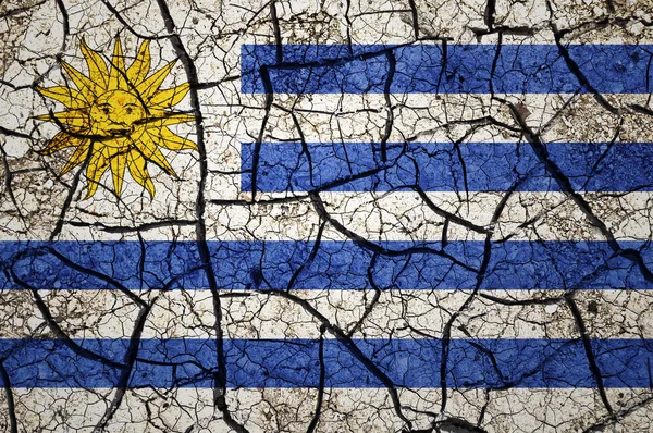 ウルグアイの国旗に乾燥した土壌パターン 干ばつの概念を持つ国 水問題だ 乾燥した地球の国 — ストック写真