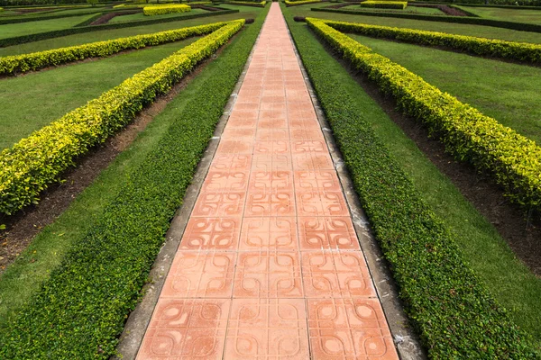 Wandelpad in het park — Stockfoto