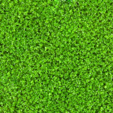 taze yeşil doğal yosun arka plan