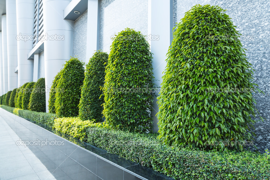 Garden trees