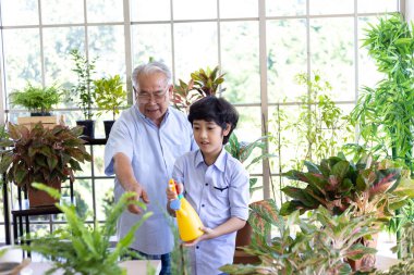 Asyalı büyükbaba ve torunu bahçede birlikte vakit geçirirlerdi. Ağaçlarla ilgilenmenin tadını çıkarırlardı.