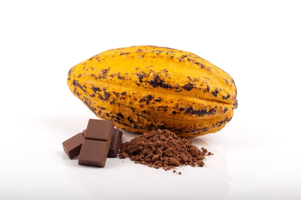 Какао Порошок Какао Стручки Шоколадные Батончики Изолированы Белом Фоне — стоковое фото