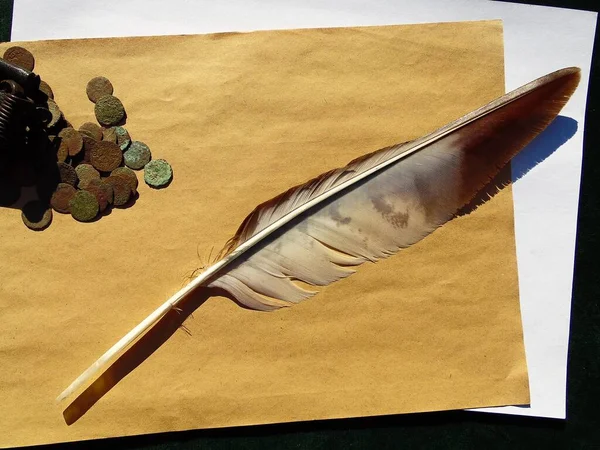 Collage Old Copper Coins 17Th Century Eagle Feather Background Old — Fotografia de Stock