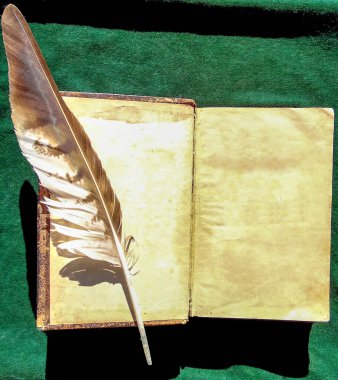 Yeşil tuval üzerinde eski kitap ve tüy açıldı