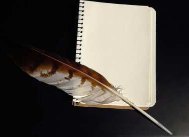 blank notepad sheet and bird feather on dark background