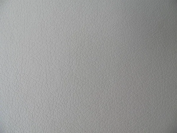 Light Gray Leather Texture Close — Stock Photo, Image