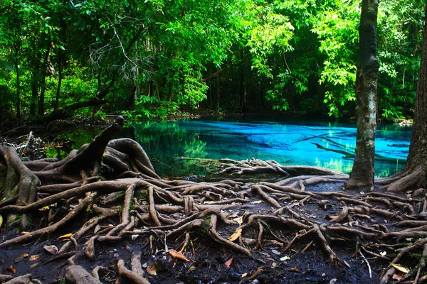 Emerald Pool. — Stock Photo, Image