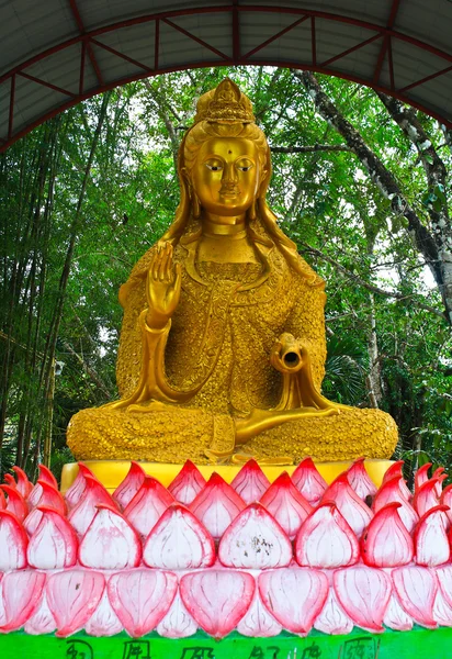 Buddha. — Stockfoto
