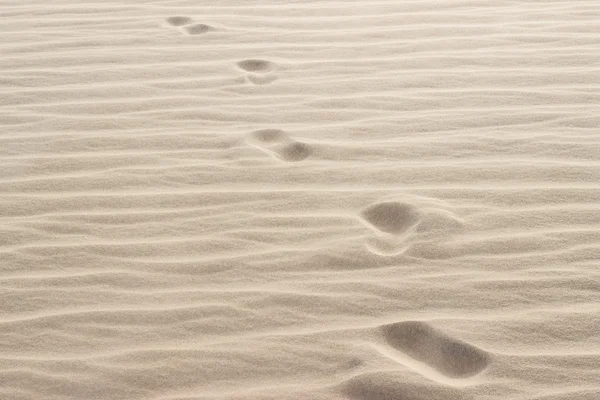 Fußabdrücke im Sand am Strand — Stockfoto
