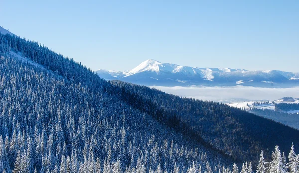 Invierno en montañas Imagen de archivo