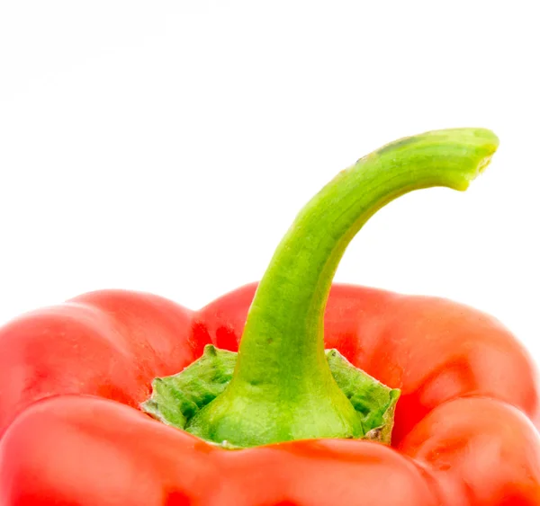 Pepper Stock Photo