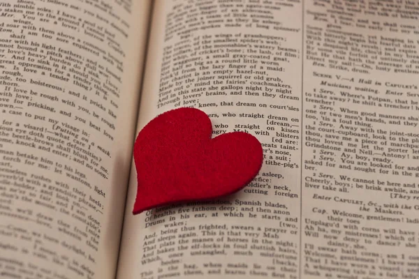 Велике червоне серце на сторінці книги — стокове фото