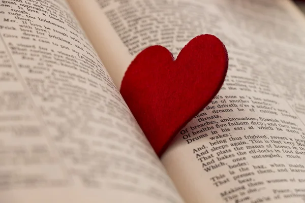 Gran corazón rojo entre un libro — Foto de Stock