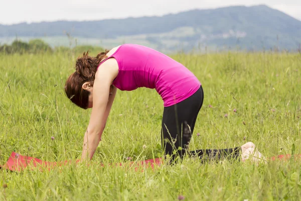 Woman doing cat pose in yoga outdoors — Stock Photo, Image