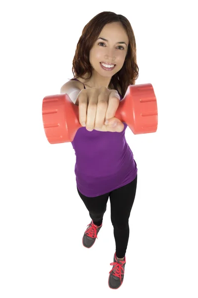 Young fitness woman with dumbbells — Stock Photo, Image