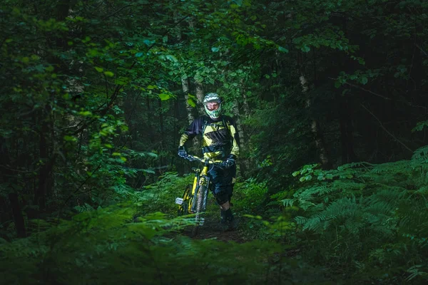 Man, cyclist in the full face helmet stands with the yellow enduro bicycle in the green forest. Summer time, Ukraine