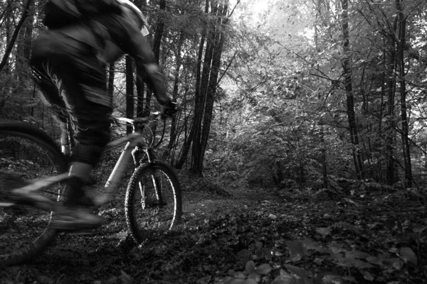 Black an white photo, cyclist in full face helmet on enduro bicycle fast rides in the mud in a forest. Summer time, Ukraine