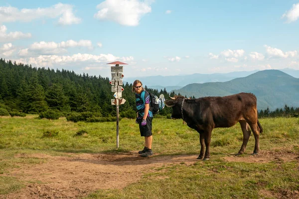 A man with a beard and long hair, a cyclist, a backpack with a helmet on his back near cow Ukraine