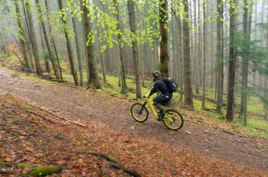 Man, cyclist in the helmet rides on the yellow enduro bicycle in the green forest, Ukraine