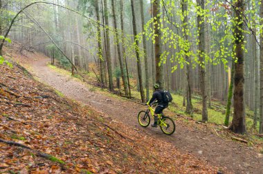 Man, cyclist in the helmet rides on the yellow enduro bicycle in the green forest, Ukraine