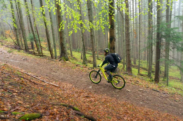 Man, cyclist in the helmet rides on the yellow enduro bicycle in the green forest, Ukraine