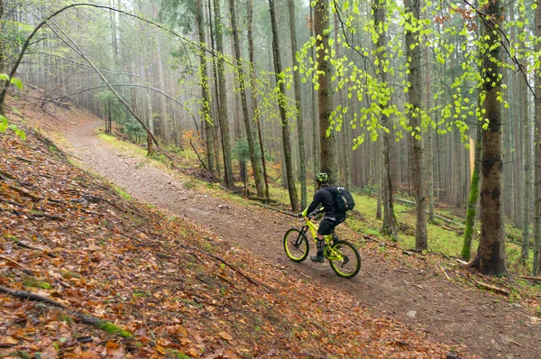 Man, cyclist in the helmet rides on the yellow enduro bicycle in the green forest, Ukraine