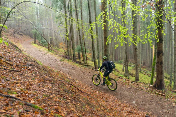 Man Cyclist Helmet Rides Yellow Enduro Bicycle Green Forest Ukraine — Stockfoto