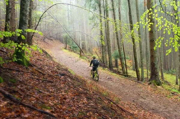 Man, cyclist in the helmet rides on the yellow enduro bicycle in the green forest, Ukraine
