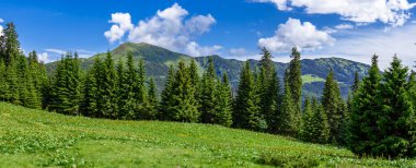 Yazın Karpat Dağları Panoraması, Denizcilik Bölgesi, Lysych Dağı Çayırı, Ukrayna. Yazın mavi gökyüzü ve beyaz bulutlarla Karpat Dağları 'nın Panoraması.