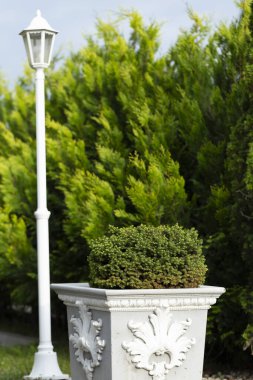 Kozalaklı, modern bahçe. Modern peyzaj tasarımının bir örneği. Küçük Bahçeler ve Eşsiz Bitkiler. Eşkıya kulübelerinden yapılmış canlı çitler.