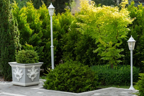 Kozalaklı, modern bahçe. Modern peyzaj tasarımının bir örneği. Küçük Bahçeler ve Eşsiz Bitkiler. Eşkıya kulübelerinden yapılmış canlı çitler.