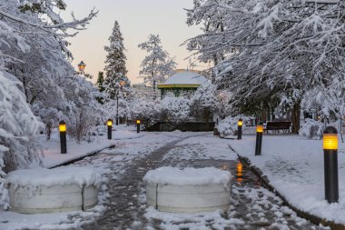 3 Aralık 2021: Kışın Truskavets, Ukrayna 'da bir spa merkezi. Torosevich Bulvarı, Truskavets tatil köyü parkında müzik pavyonu