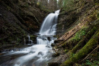 Kristal berrak su ile şelale, uzun pozlama. Ukrayna Karpatları 'ndaki Tembel Şelale. Vahşi yaşam kavramı, temiz su, vahşi yaşam, turizm..