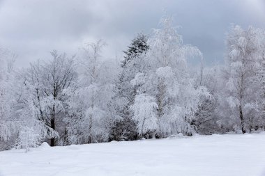 Karpat dağları ve ormanı büyülü buz ve karla kaplıdır. Peri masalı koruluğunun rüya gibi manzarası. Sihirli kış sahnesi. Alp kayak merkezi. Mükemmel kış duvar kağıtları. Güzel toprak.