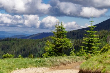 Yazın güzel, güneşli bir günde Karpat Dağları. Karpatların eşsiz el değmemiş doğası. Duvar kağıtları için yaz dağlarının manzarası. Karpatyalı, Ukrayna. Güzellik dünyası.