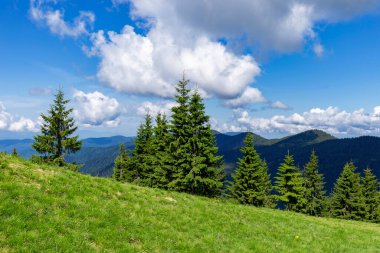 Yazın güzel, güneşli bir günde Karpat Dağları. Karpatların eşsiz el değmemiş doğası. Duvar kağıtları için yaz dağlarının manzarası. Karpatyalı, Ukrayna. Güzellik dünyası.