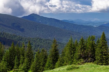 Yazın güzel, güneşli bir günde Karpat Dağları. Karpatların eşsiz el değmemiş doğası. Duvar kağıtları için yaz dağlarının manzarası. Karpatyalı, Ukrayna. Güzellik dünyası.