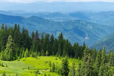 Yazın güzel, güneşli bir günde Karpat Dağları. Karpatların eşsiz el değmemiş doğası. Duvar kağıtları için yaz dağlarının manzarası. Karpatyalı, Ukrayna. Güzellik dünyası.