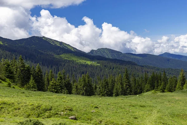 Yazın güzel, güneşli bir günde Karpat Dağları. Karpatların eşsiz el değmemiş doğası. Duvar kağıtları için yaz dağlarının manzarası. Karpatyalı, Ukrayna. Güzellik dünyası.