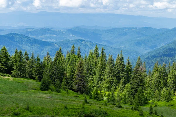 Karpackie Góry Latem Piękny Słoneczny Dzień Unikalna Dziewicza Przyroda Karpat — Zdjęcie stockowe