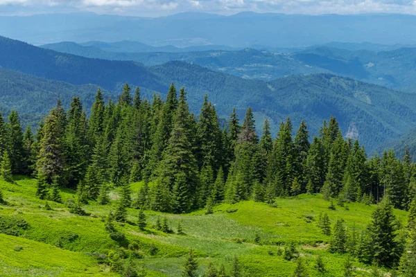 Carpathian Mountains Summer Beautiful Sunny Day Unique Pristine Nature Carpathians — Foto Stock