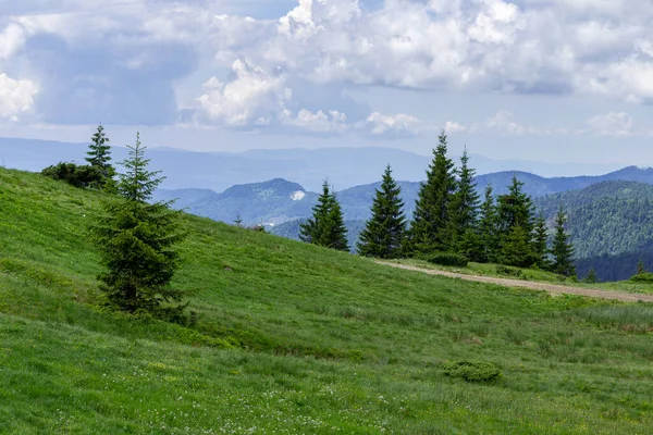 Karpackie Góry Latem Piękny Słoneczny Dzień Unikalna Dziewicza Przyroda Karpat — Zdjęcie stockowe