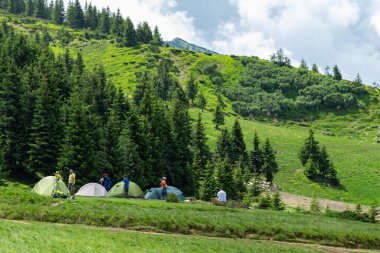 Tourist tents in the mountains against the background of summer green Carpathian peaks, coniferous forest and meadows. The unique nature and landscape of the Carpathians. Vibrant photo wallpaper.