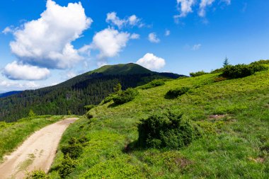 A road in the mountains that runs along the slope among meadows and forest against the background of mountain ranges, blue sky and white clouds. The unique nature and landscape of the Carpathians.