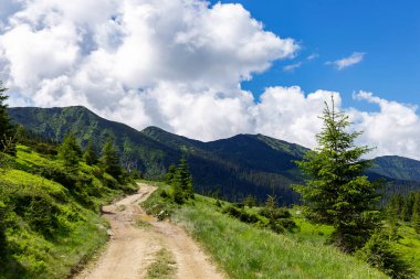 A road in the mountains that runs along the slope among meadows and forest against the background of mountain ranges, blue sky and white clouds. The unique nature and landscape of the Carpathians.