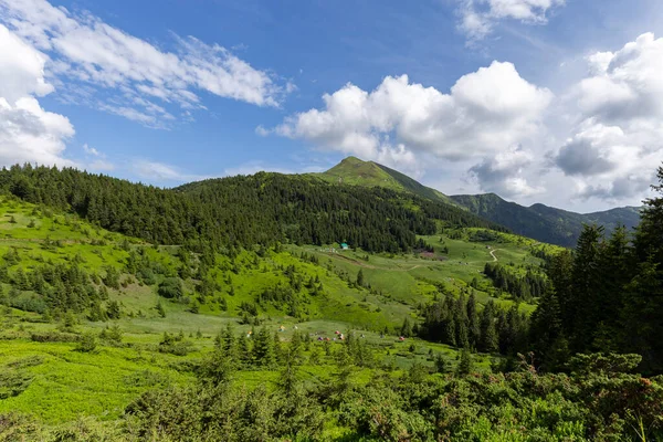 Magical Summer Dawn Carpathian Mountains Region Maramures Mountains Polonyny Lysycha — Foto Stock